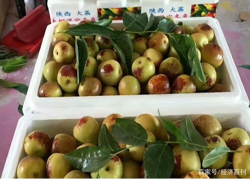 新冠肺炎疫情對水果價格的影響及應(yīng)對措施