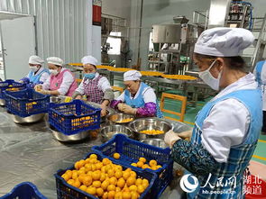 金融跨界融合，湖北小橘紅茶葉綻放億元產業光芒