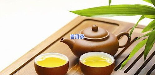 勐勝古茶冰島初制所 品味冰島古樹(shù)的純正韻味